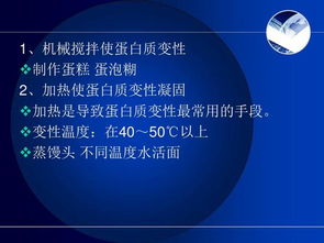 酒店管理中的烹飪與膳食管理基礎(chǔ)